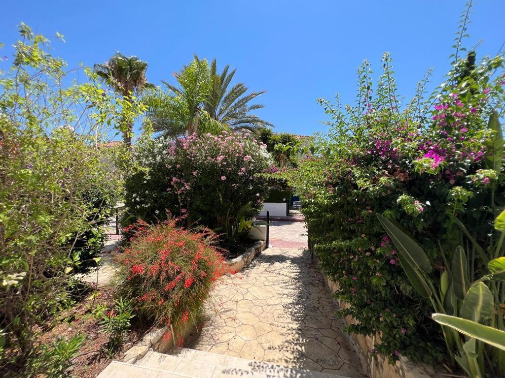 Villa Tamara With Private Pool